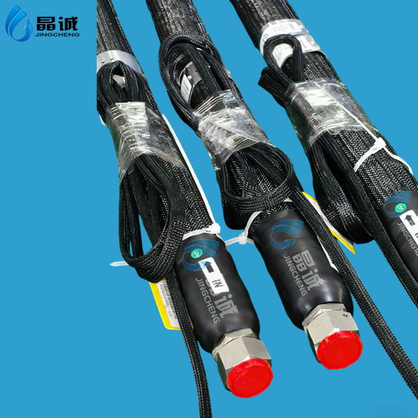 Special connection hose for extruder high temperature high pressure PTFE hose 