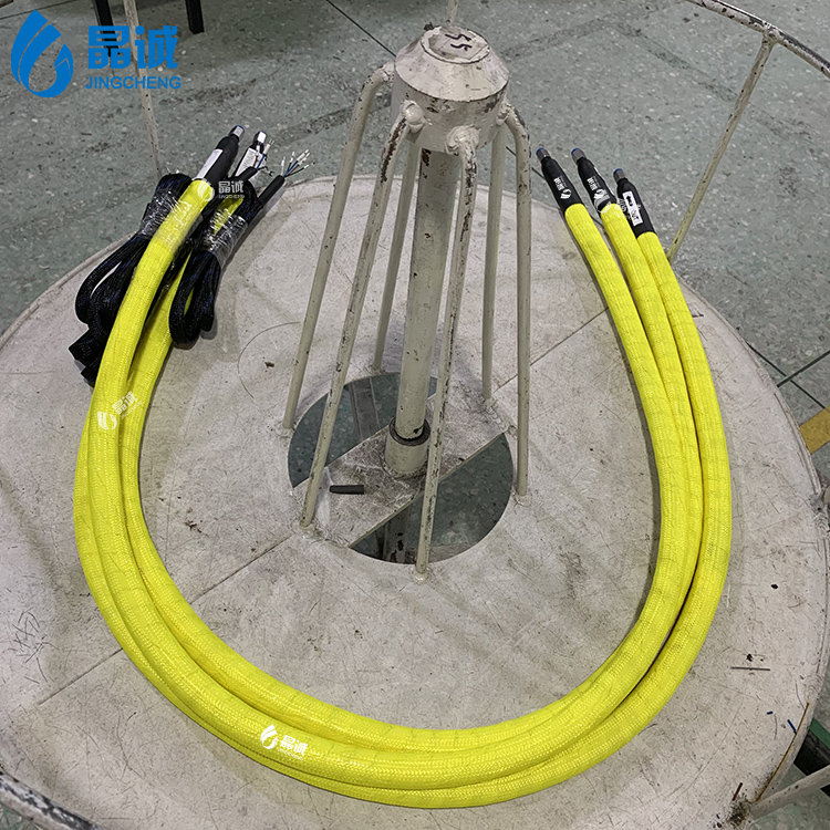 Teflon (PTFE) Hoses 